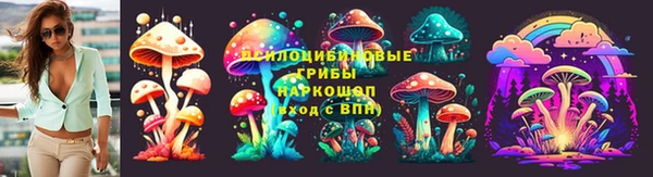 индика Бородино