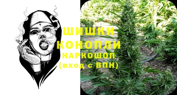 индика Бородино