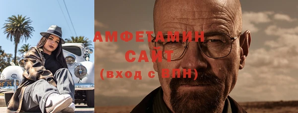 индика Бородино