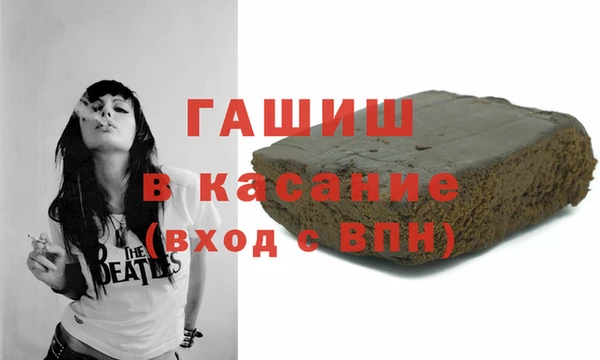 индика Бородино