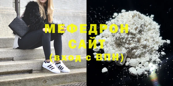 индика Бородино