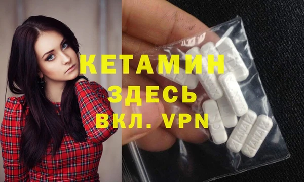 индика Бородино
