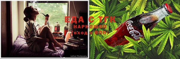 индика Бородино