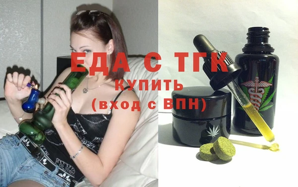 индика Бородино