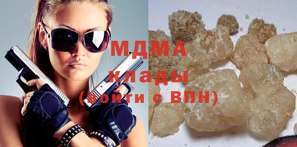 индика Бородино
