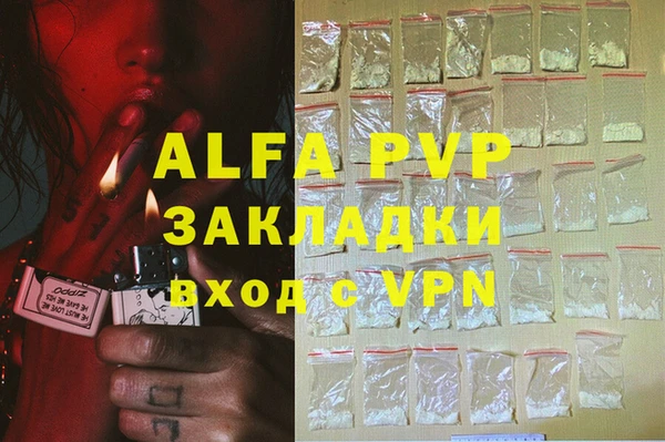 индика Бородино