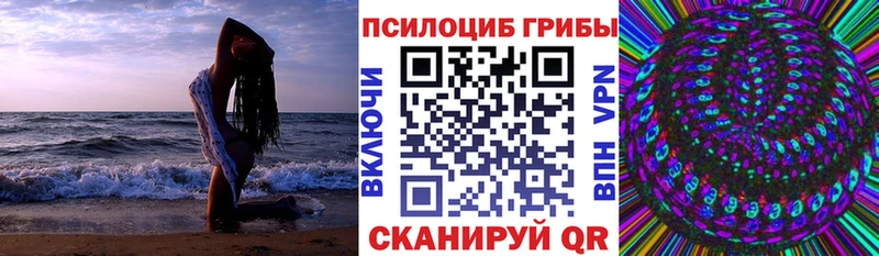 Псилоцибиновые грибы Cubensis  закладка  Чехов 